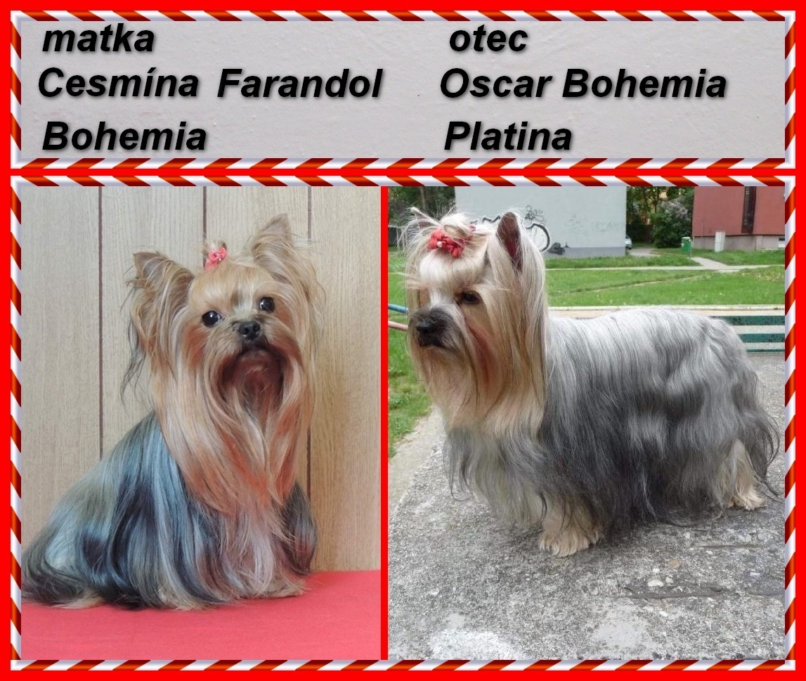 2014-00)...rodiče vrhu